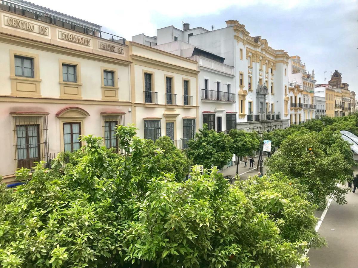 Apartamento Centro De Jerez Leilighet Jerez de la Frontera Eksteriør bilde